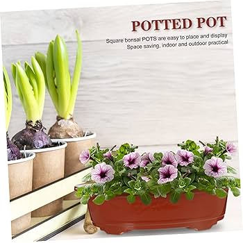 Amazon.com : KESYOO 4pcs Practical Bonsai Flowerpots